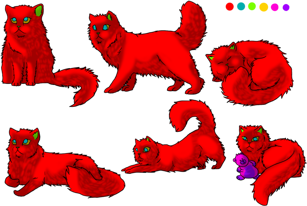 Persian Cat Pose Set Tri Colour By Xarcox - Cat (1024x683)