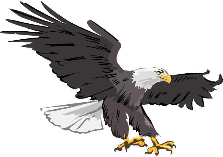 Bald Eagle Clipart Images Free - Eagle Clipart (750x531)