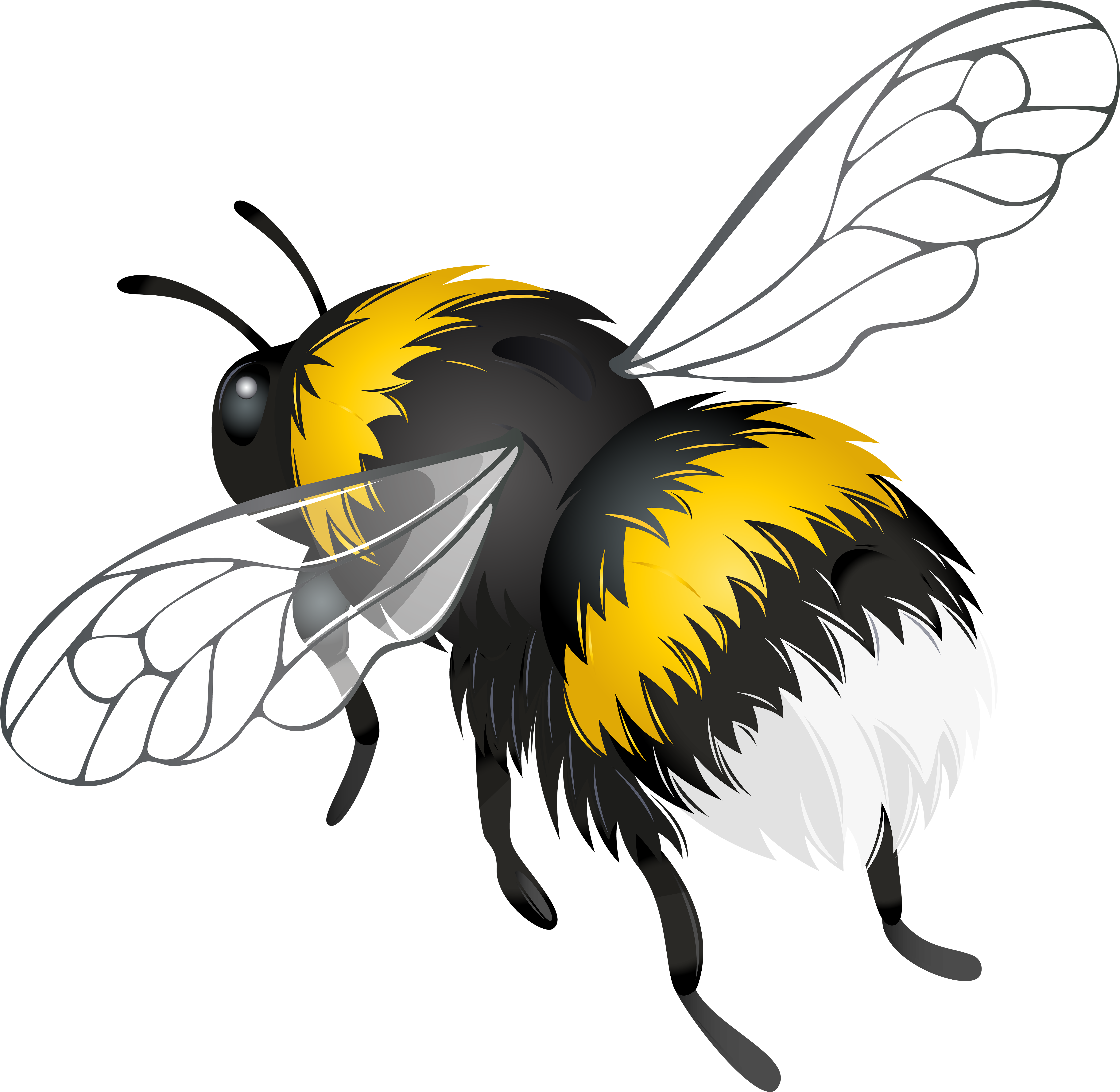Flying Bee Png Clipart - Png Bees (6000x5848)