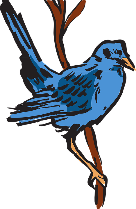 Free Bluebird Clipart 15, Buy Clip Art - Gambar Seni Fauna (833x1280)