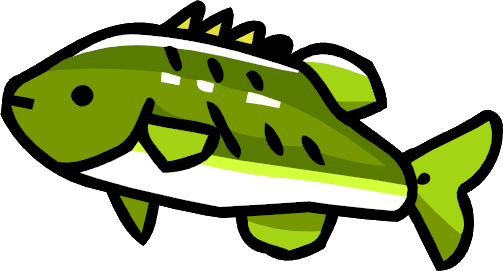 Bass Fish - Cartoon Bass Fish (503x271)