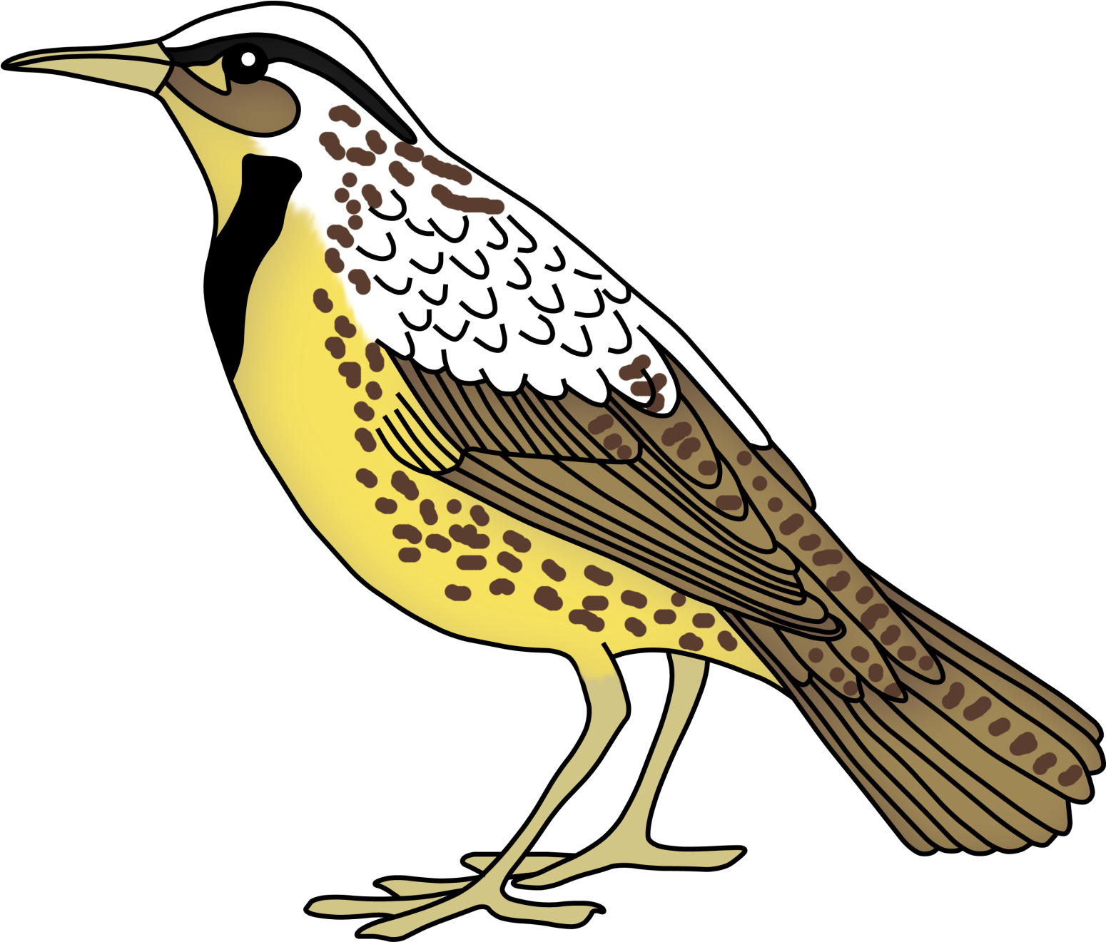 Teacher Treasure Hunter - Meadowlark Bird Clip Art (1600x1428)