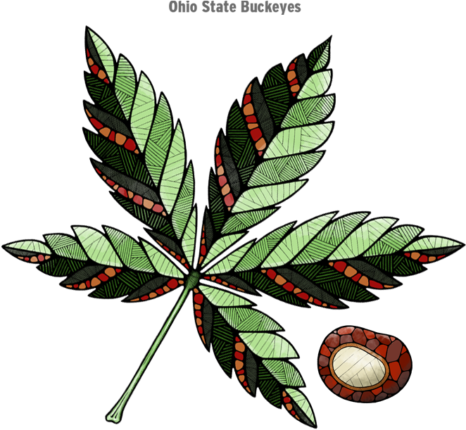 Munehito Sawada Who Worked With Me On This - Pond Pine (700x700)