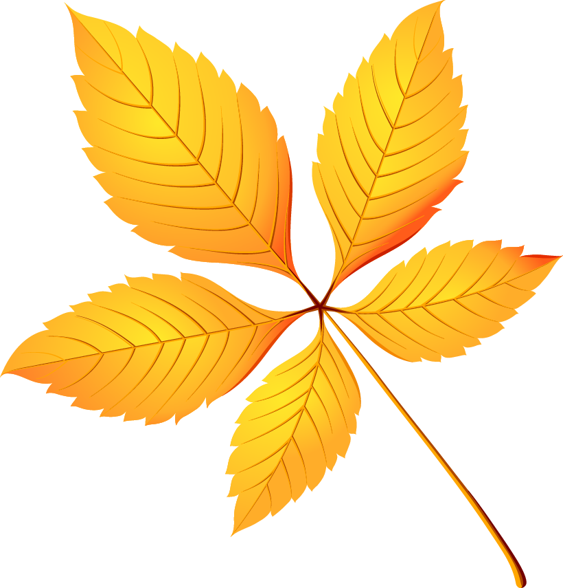 European Horse-chestnut Leaf Tree Crown Birch - European Horse-chestnut Leaf Tree Crown Birch (820x855)