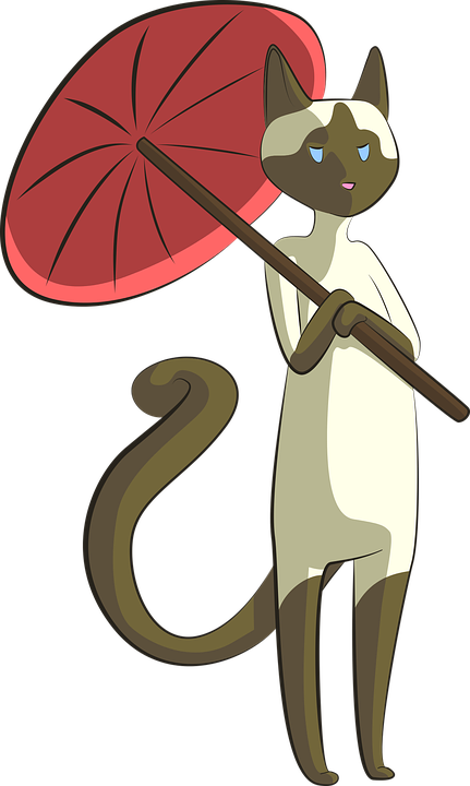 Siamese Cat Clipart Animated - 365 Day Blank Doodle Diary: Cat Lovers: Volume 4 (kitty (431x720)