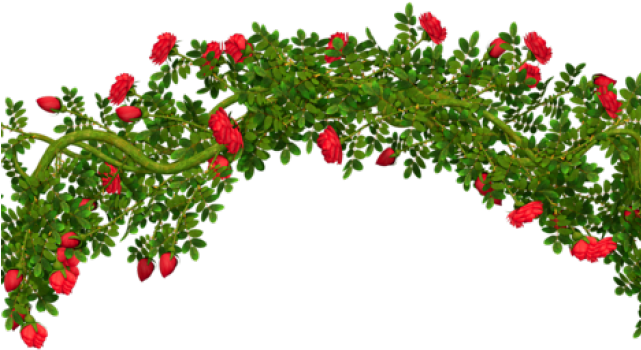 Shrub Clipart Rosebush - Rose Bush Clip Art (640x480)