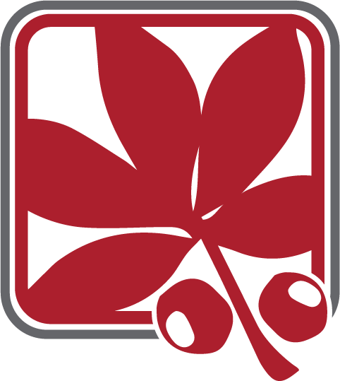 Buckeye Bookkeeping Services Contact Ohio - Buckeye Bookkeeping Services (482x539)