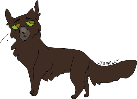 Warrior Cats Project - Cat (500x335)