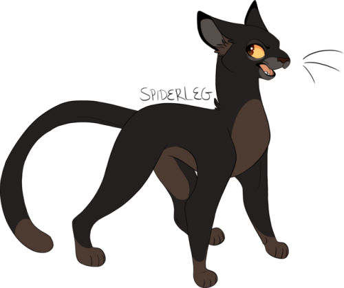 100 Warrior Cats Challenge Day - Warrior Cats Spiderleg (500x419)