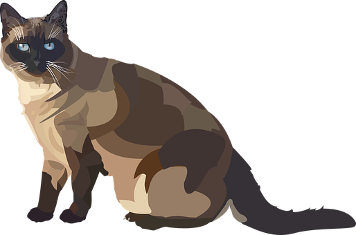 Siam, Cat, Breed Cat, Animal, Blue Eye - Siamese Cat Illust Free Png (514x340)