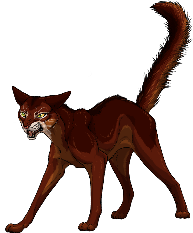 Cat Foxy [2] By Spirit Of Alaska - Cat (646x768)