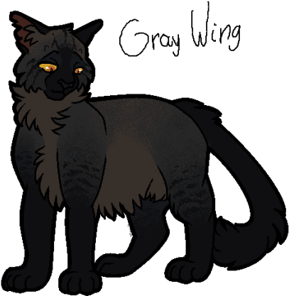 21 Nov 2016 / - Black Cat (500x451)