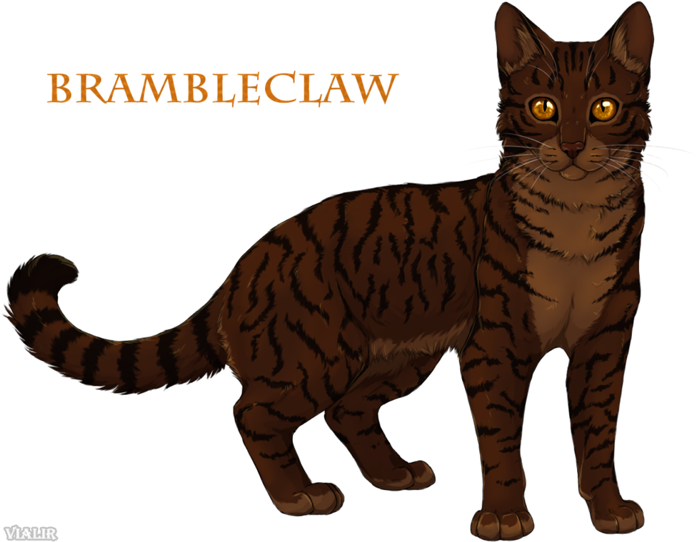 Brambleclaw By Vialir Brambleclaw - Erin Hunter Warriors Brambleclaw (1012x790)