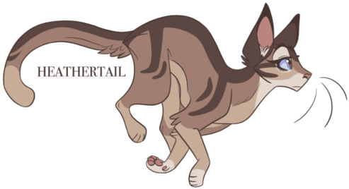 100 Warrior Cats Challenge Day - Warrior Cats Designs (500x315)