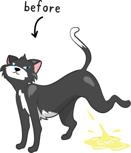 Female Cat Spraying - Female Cat Spraying (453x531)
