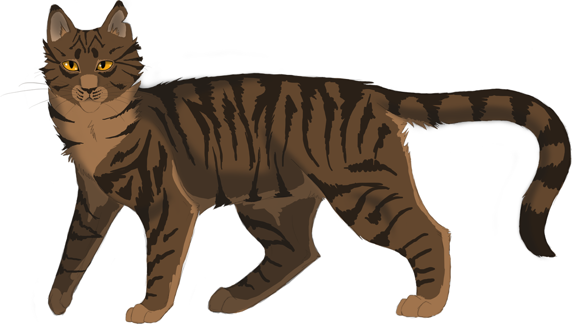 Tigerheart To Ivypool In The Forgotten Warrior, Page - Warrior Cats Deviantart Tigerheart (1115x634)