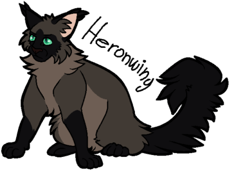 8 May 2017 / - Warriors (500x398)