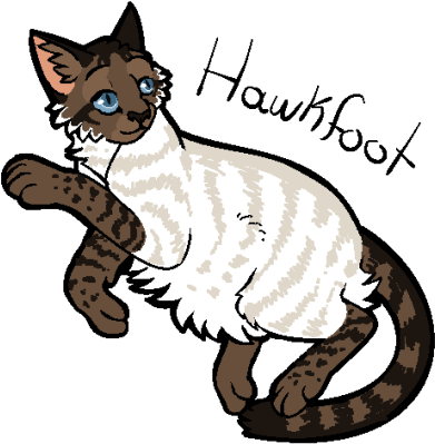 9 Feb 2017 / - Warrior Cats Alphabet (500x441)