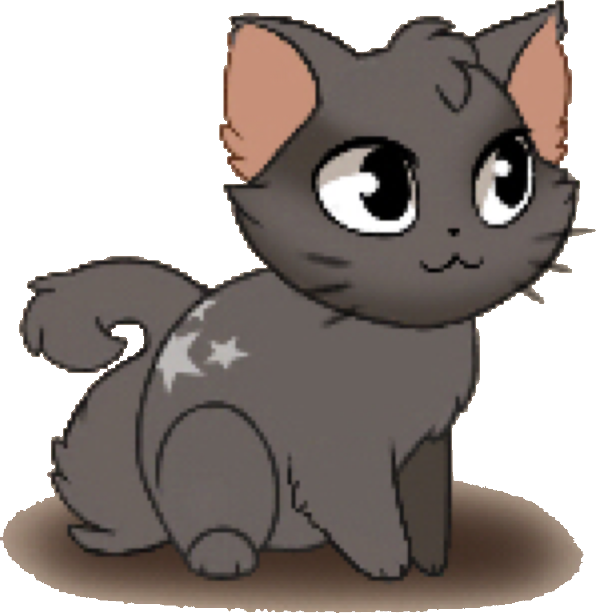 Description - " - Black Cat (2036x2048)