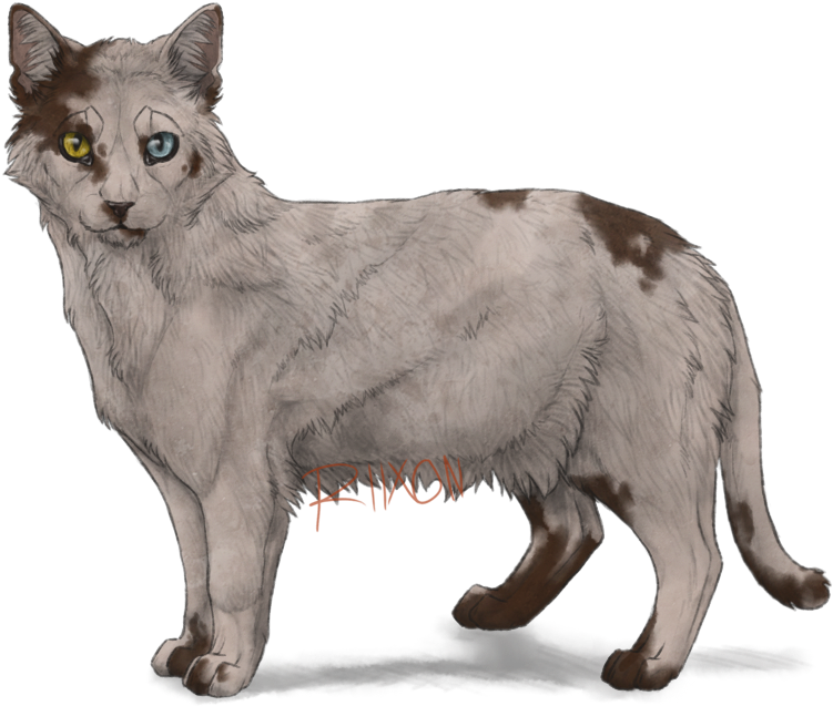 Piebald Cat By Riixon - Brown Piebald Cat (865x679)