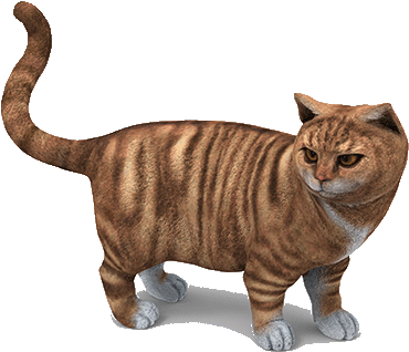 Cat 3d Figurine Made Of Sandstone - Cat 3d Png (480x357)