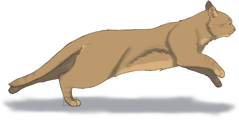 Warrior Cats Windstar (1024x589)