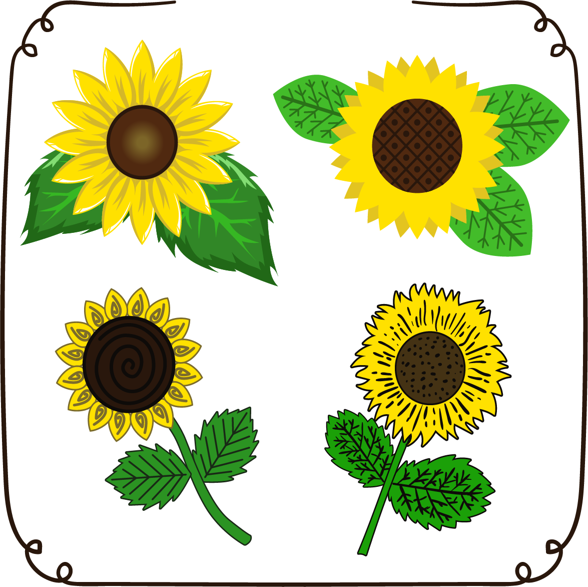 Common Sunflower Euclidean Vector Drawing Download - Common Sunflower Euclidean Vector Drawing Download (1175x1172)
