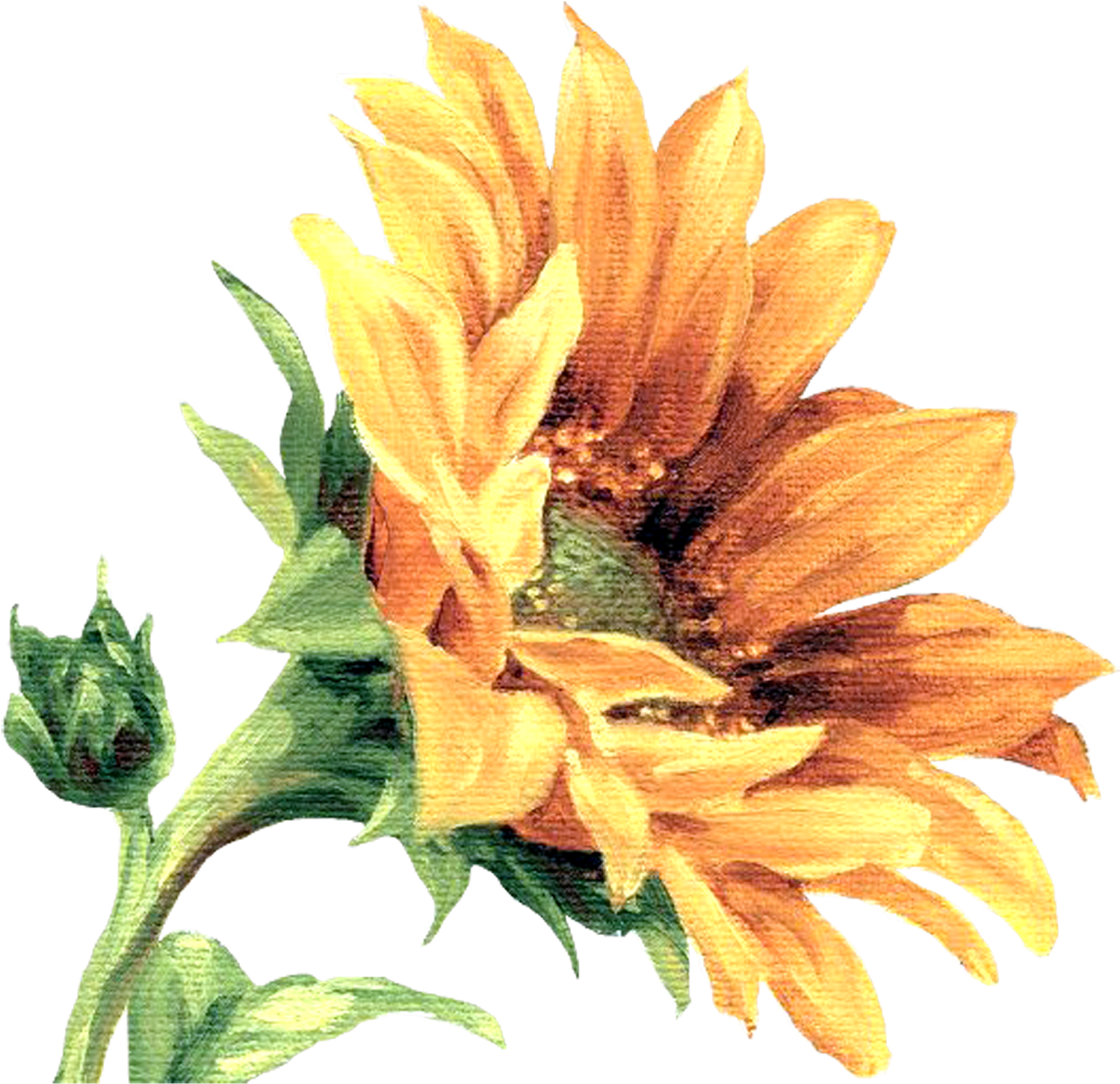 Çiçekler Png Clipart Lisa Audit - Magic Slice Under The Sun Cutting Board (1600x1600)