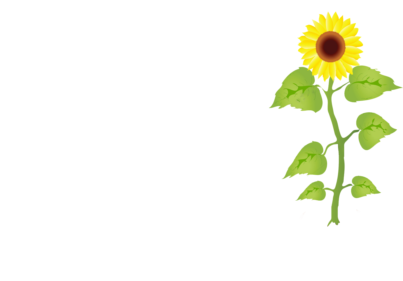 Grow3 - - Sunflower Seed Growth Illustration (1500x1150)