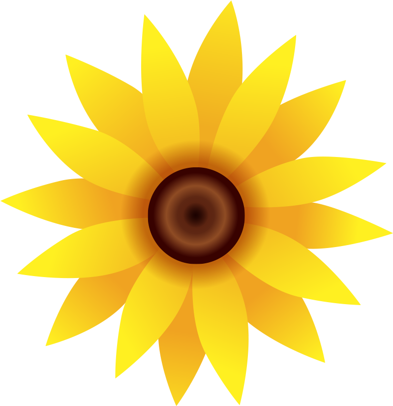 Common Sunflower Plant Euclidean Vector Sunflower Seed - Common Sunflower Plant Euclidean Vector Sunflower Seed (1181x1181)