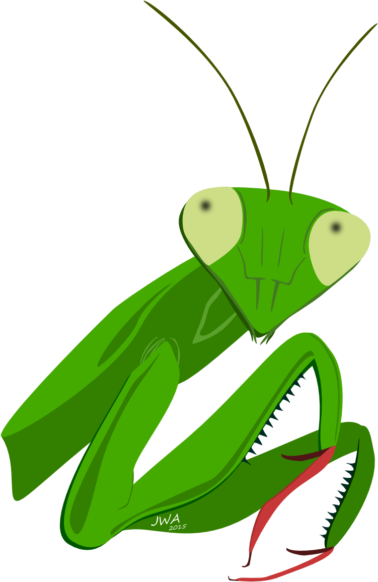 Cartoon Praying Mantis - Cartoon Praying Mantis (900x1200)