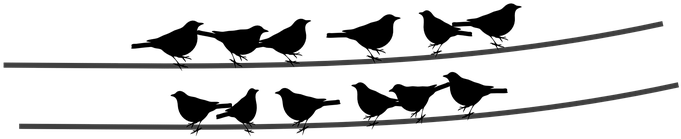 Birds Wire Cable Sitting Birds Birds Birds - Birds Sitting On A Wire Png (680x340)