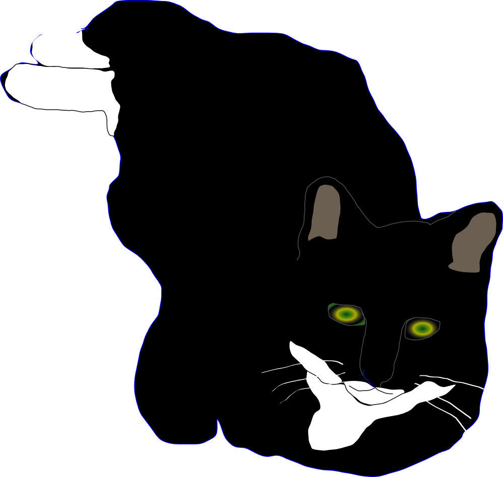 Feline Feline Cat 999px 81 - Cat (999x948)