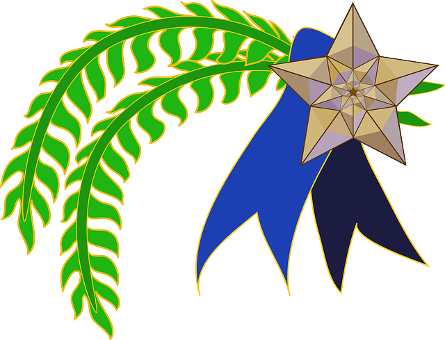 Star, Ribbon, Plant, Award, Medal, Leave, Leaves - Vp Logo Png (640x489)