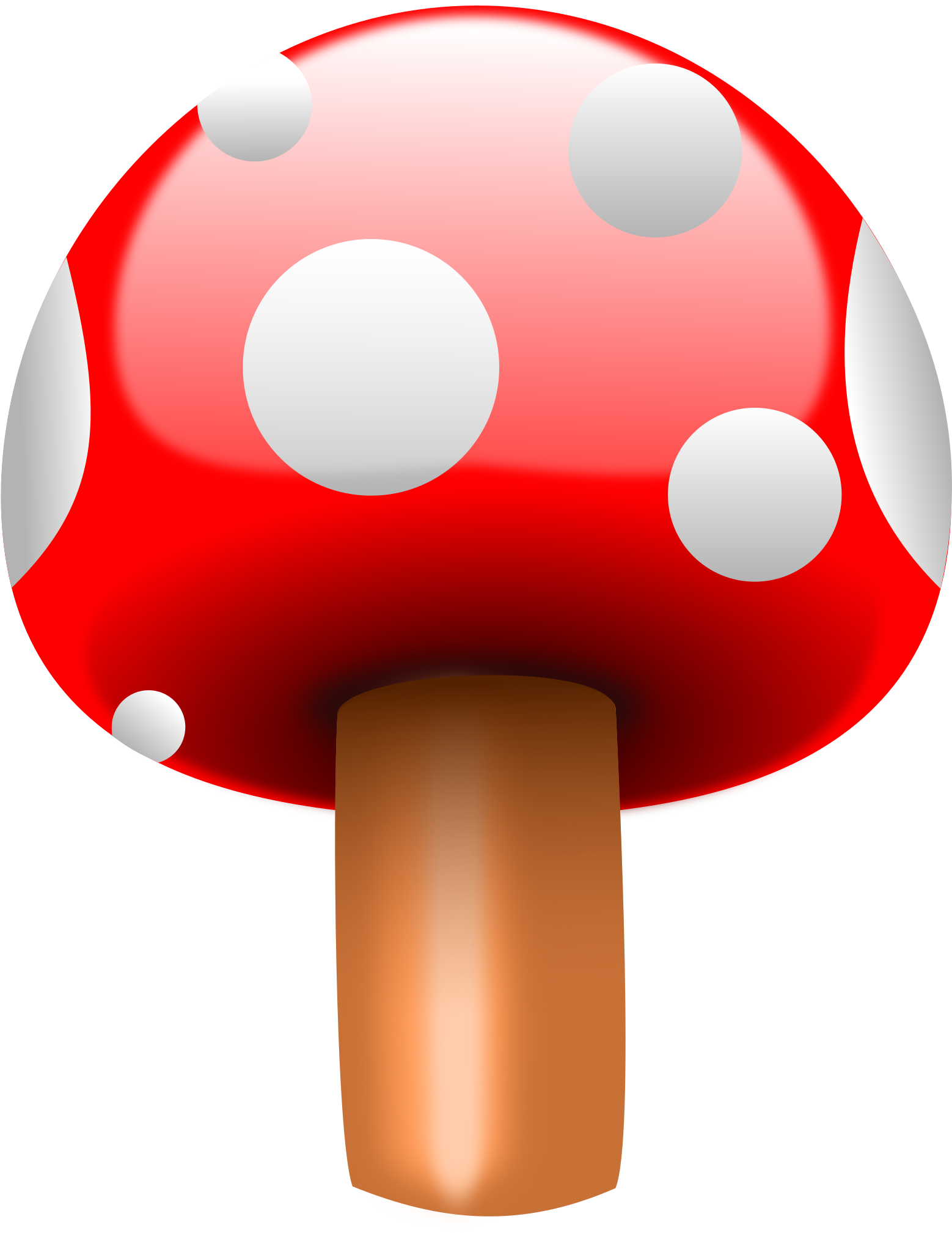 Free Mushroom - Vector Mushrooms Png (1558x2017)