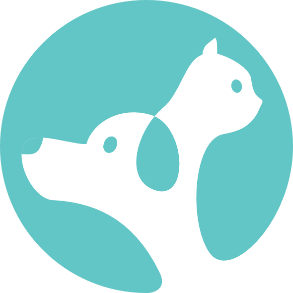 Equipe Petiko - Cachorro E Gato Png Desenho (590x590)