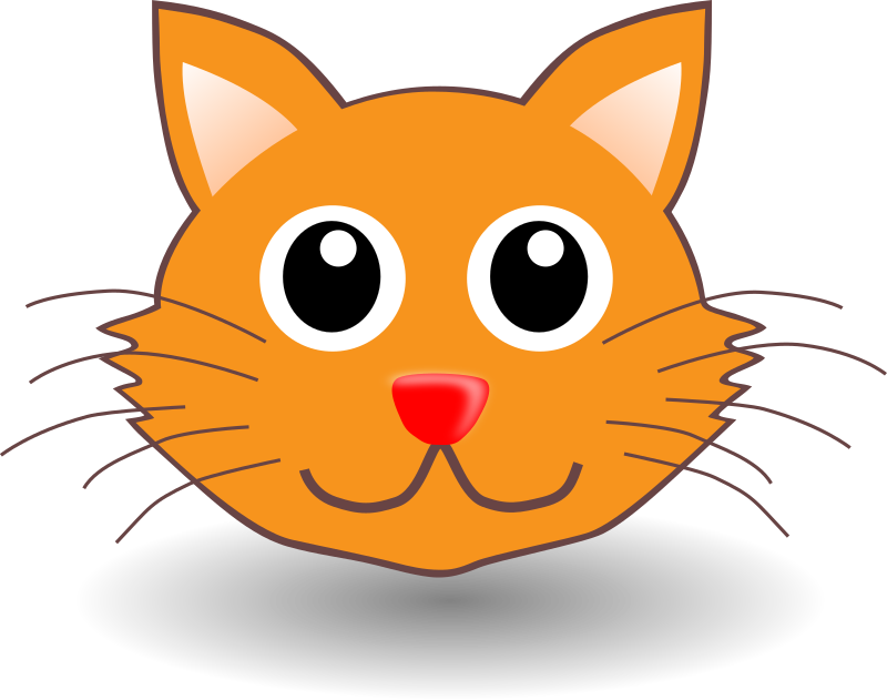 Caterpillar Head Clipart For Kids - Face Of Cat Cartoon (800x631)