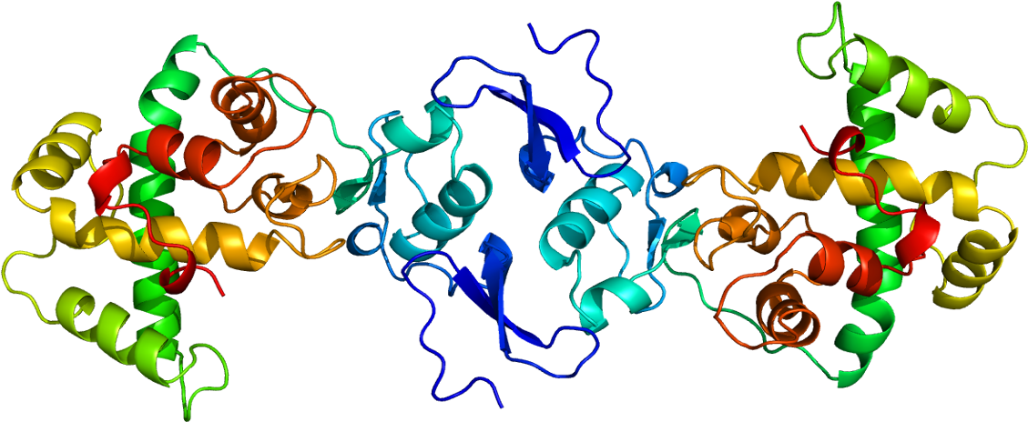 Cysteine Rich Secretory Protein Structure Journal (1178x513)