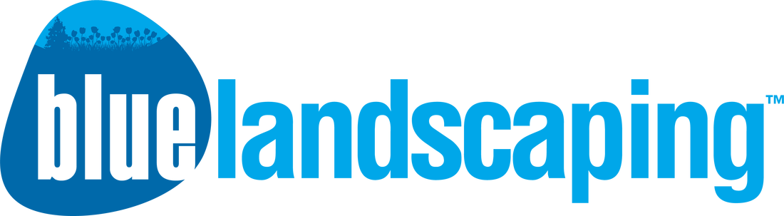 Picture - Biblicaltraining Org (1100x303)