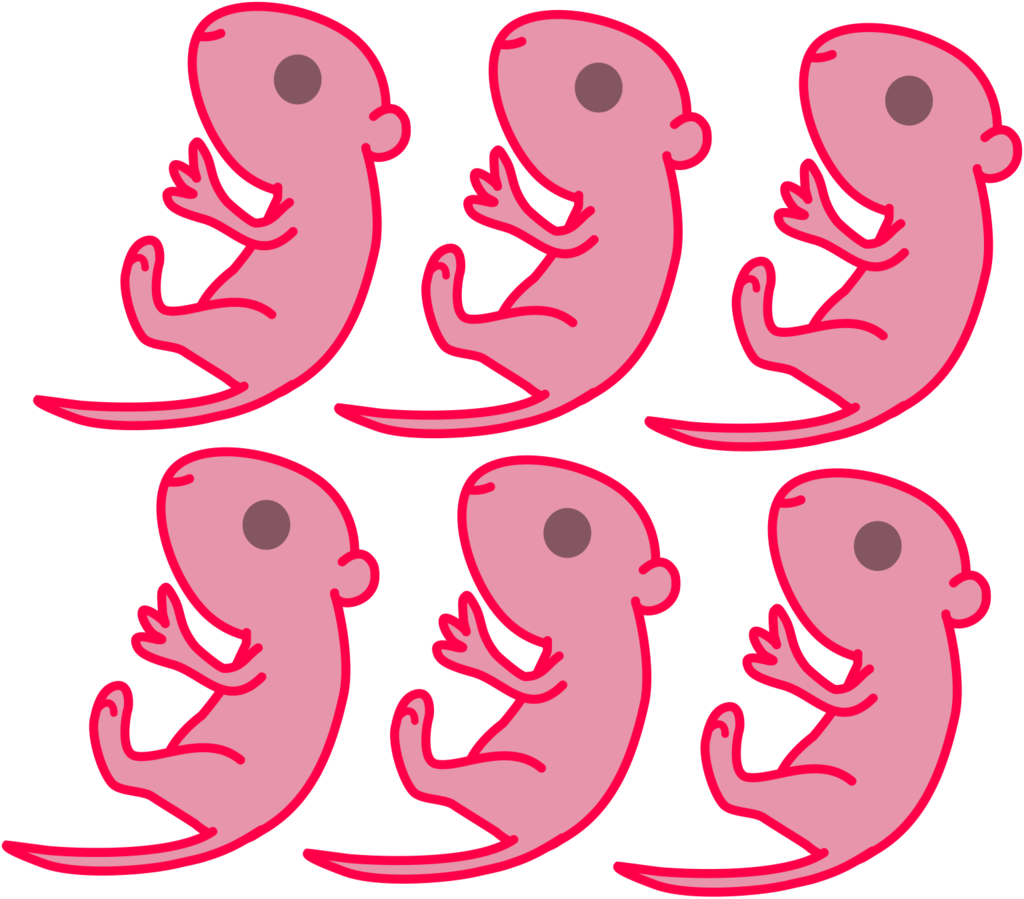 All Sold By Little Rolling Bean - Newborn Mice (1024x899)