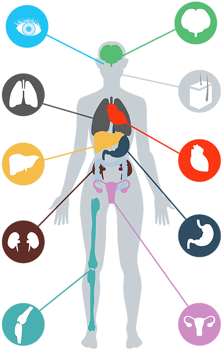 Lung - Quadro Sintomatico Da Febre Amarela (727x725)
