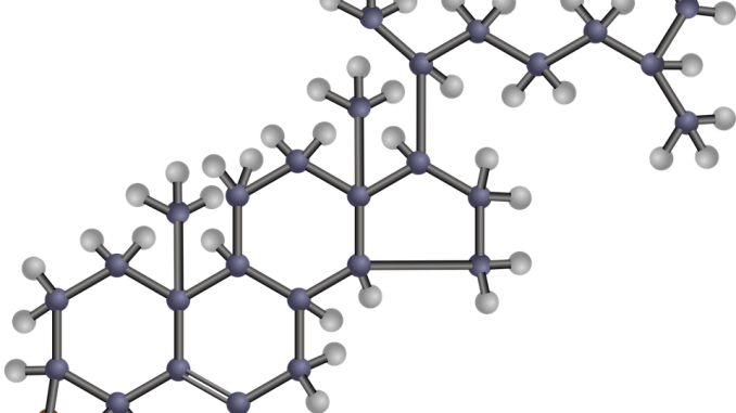 Hypercholesterolemia Treatment Market - Benefits Of Cholesterol (678x381)