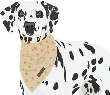 Check Out New Work On My @behance Portfolio - Dalmatian (404x316)