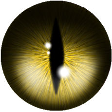 Feline Eye By Zlibbenga13 On Deviantart - Eye Shadow (400x400)