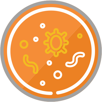 Icse Grade 9 Biology - Winnipeg Jets (440x440)