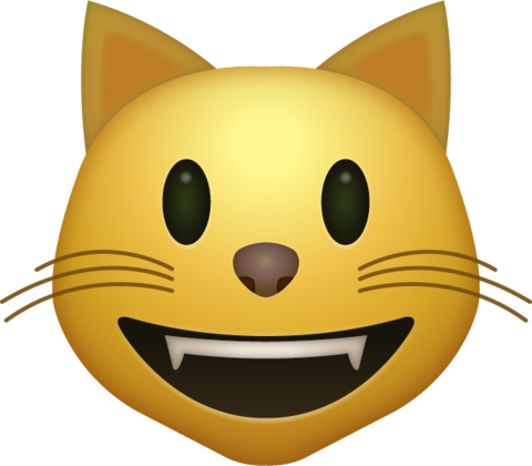 Cat Emoji Png (480x420)