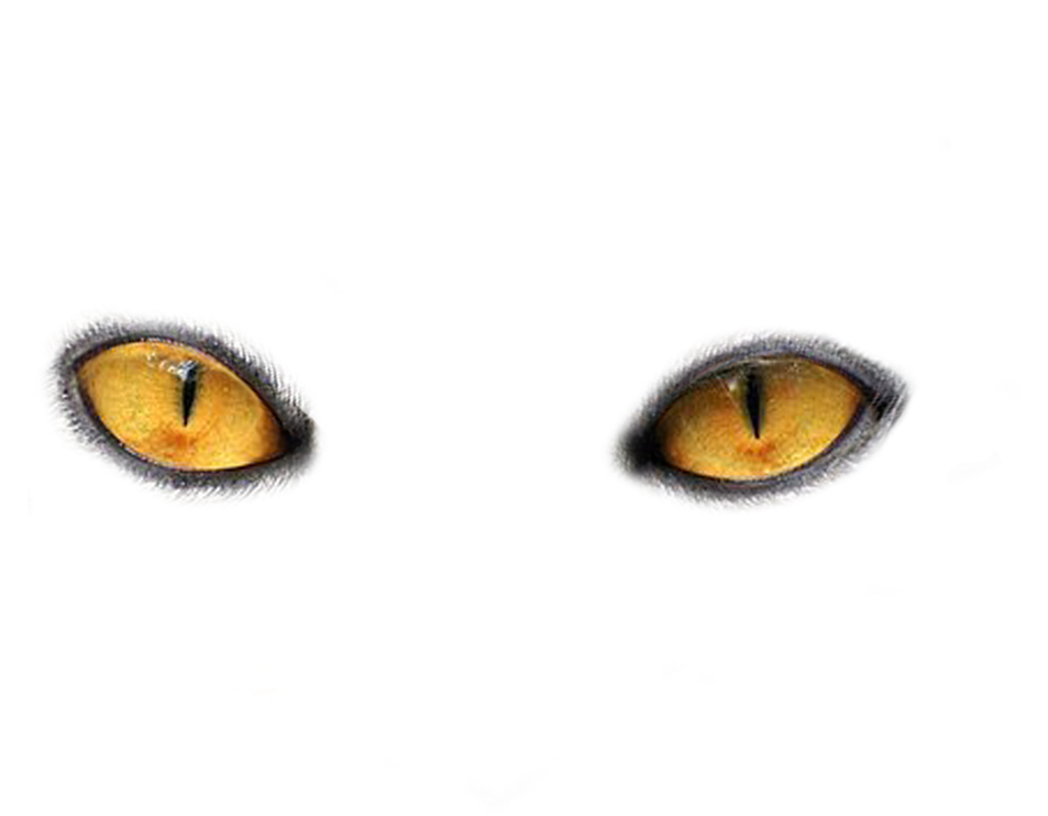 Cat Eye Clip Art - Yellow Eyes Png (1024x768)