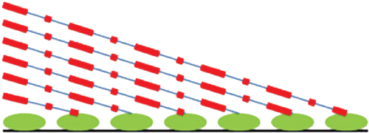 Rnf20 And H2b Ubiquitination - Carmine (660x252)
