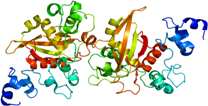 Notch Protein (700x372)