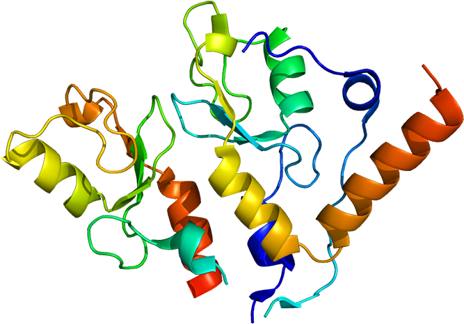 Bmi1 Is A Polycomb Ring Finger Oncogene - Bmi1 (700x499)